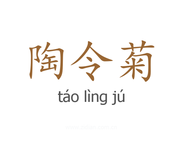 陶令菊