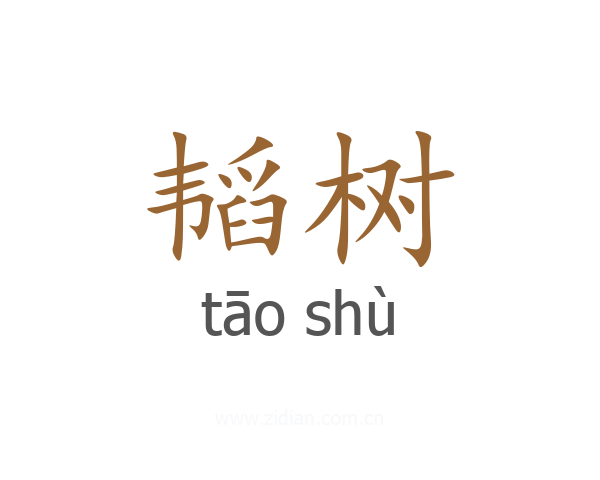 韬树
