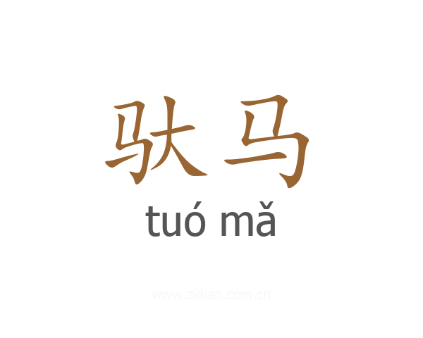 驮马