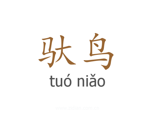 驮鸟