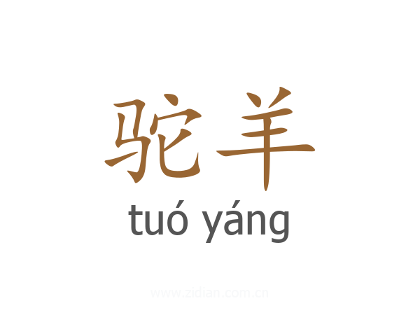 驼羊