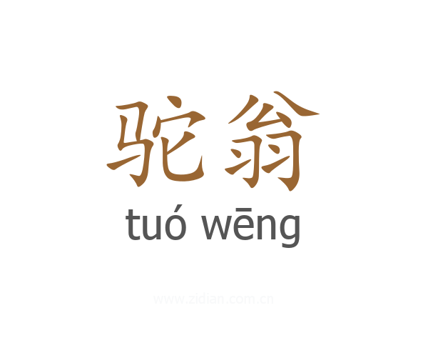 驼翁