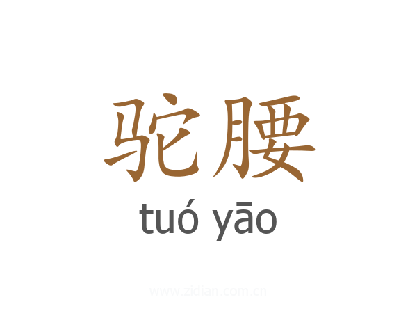 驼腰