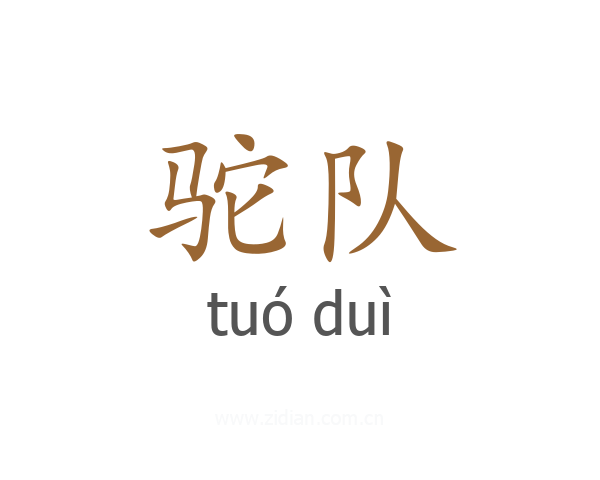 驼队