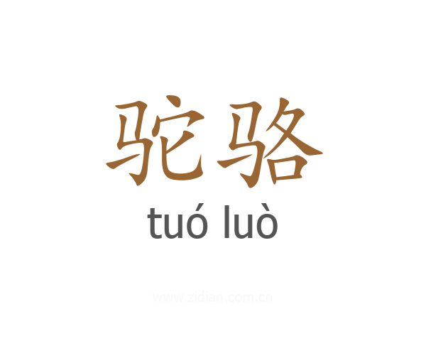 驼骆