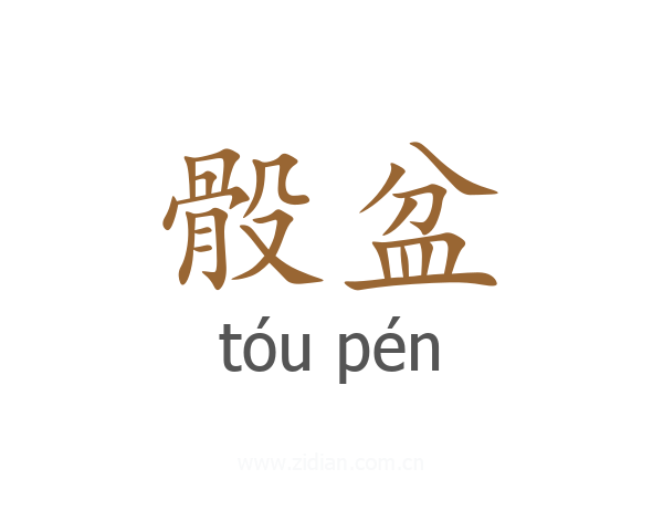 骰盆