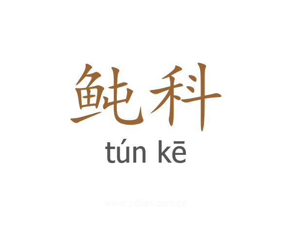 鲀科