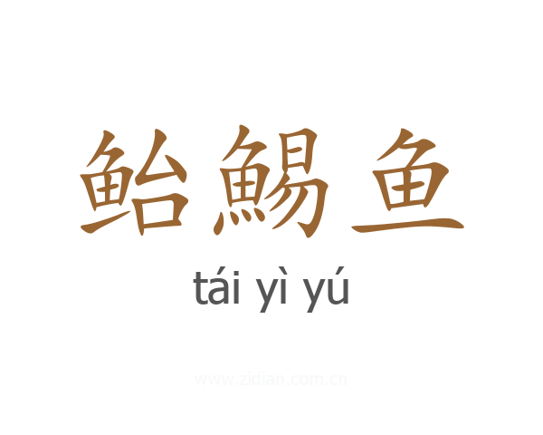 鲐鯣鱼