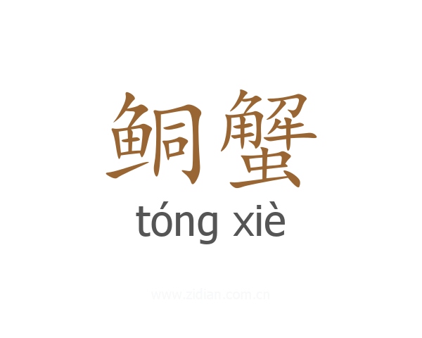 鲖蟹