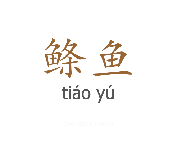 鲦鱼