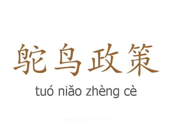 鸵鸟政策