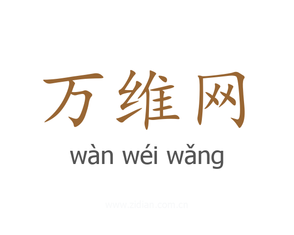 万维网