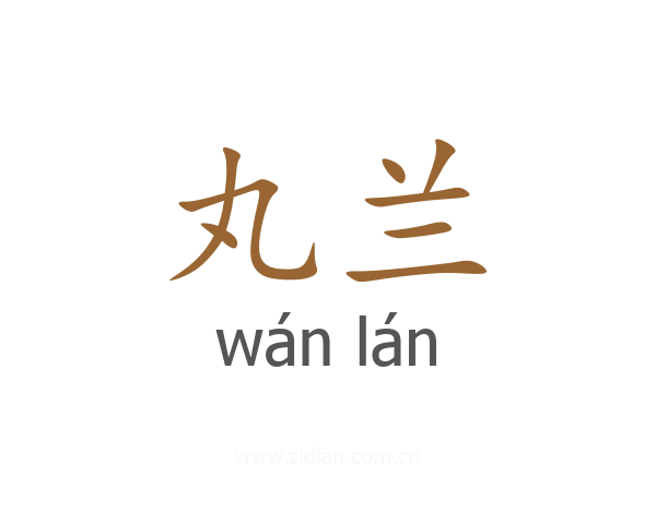 丸兰