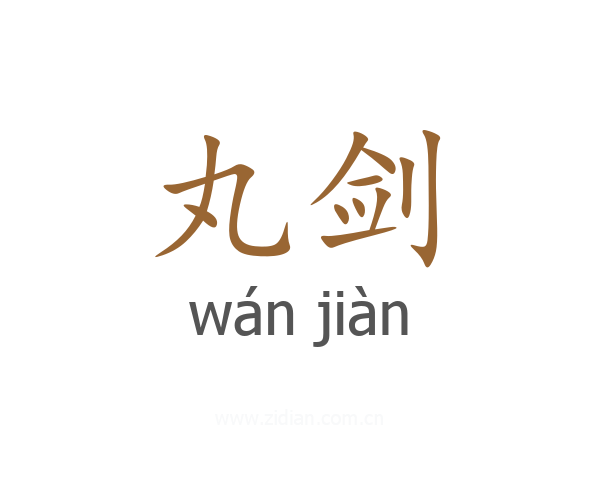 丸剑