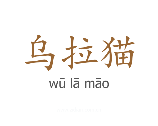 乌拉猫