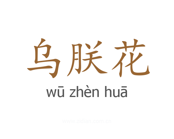 乌朕花