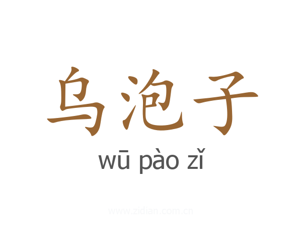乌泡子
