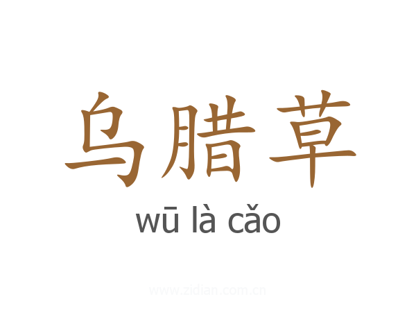 乌腊草