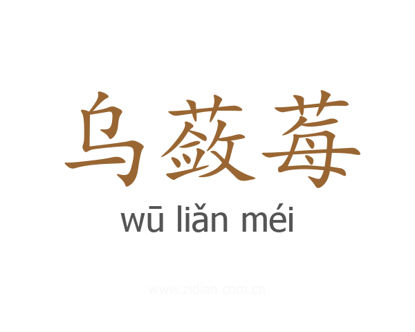 乌蔹莓