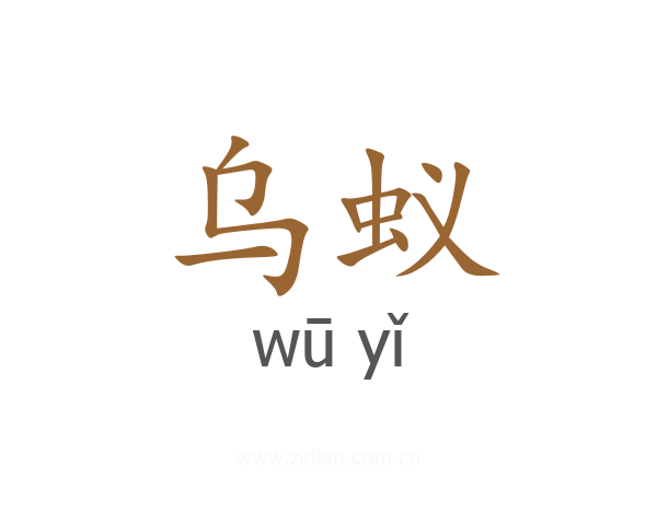 乌蚁
