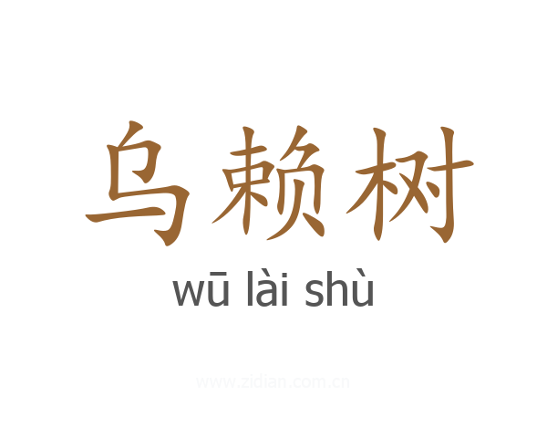 乌赖树
