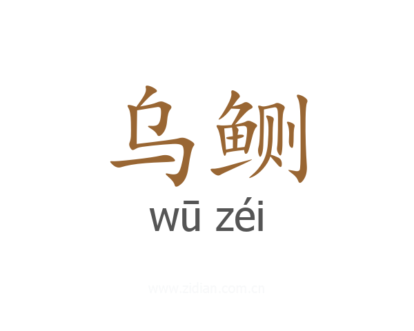 乌鲗
