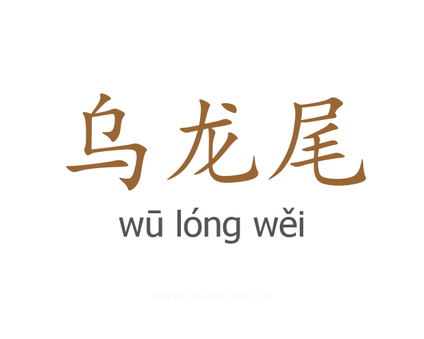 乌龙尾