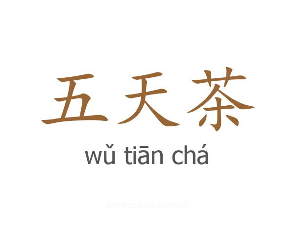 五天茶