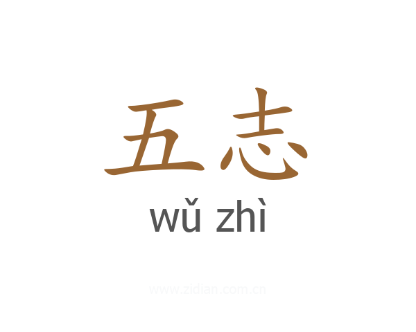 五志