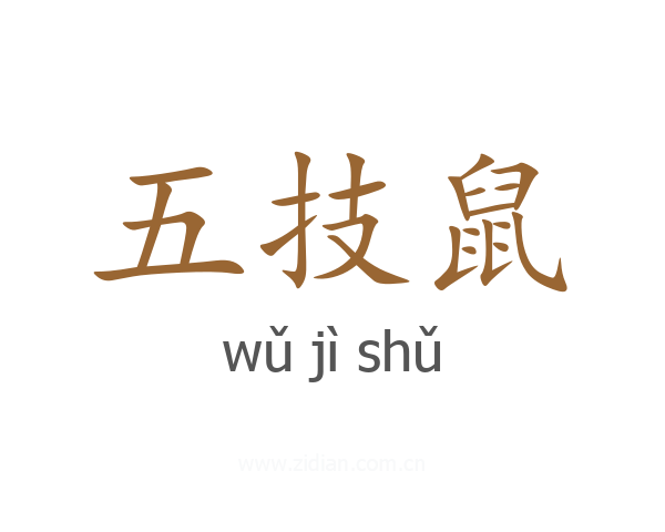 五技鼠