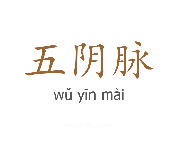 五阴脉