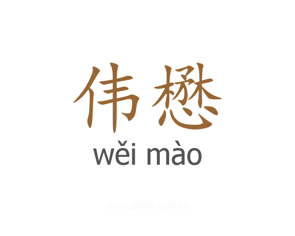 伟懋