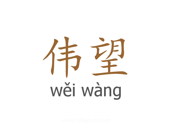 伟望