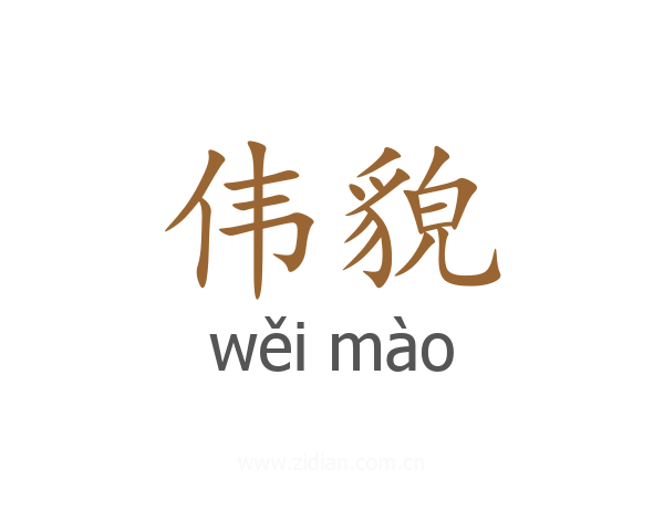 伟貌