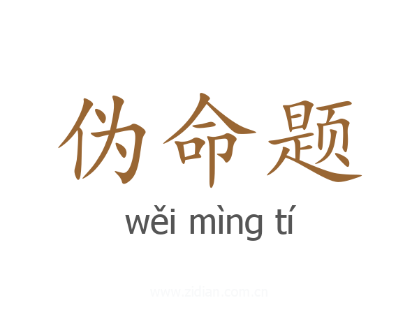 伪命题