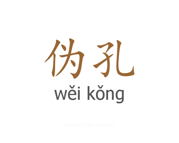 伪孔