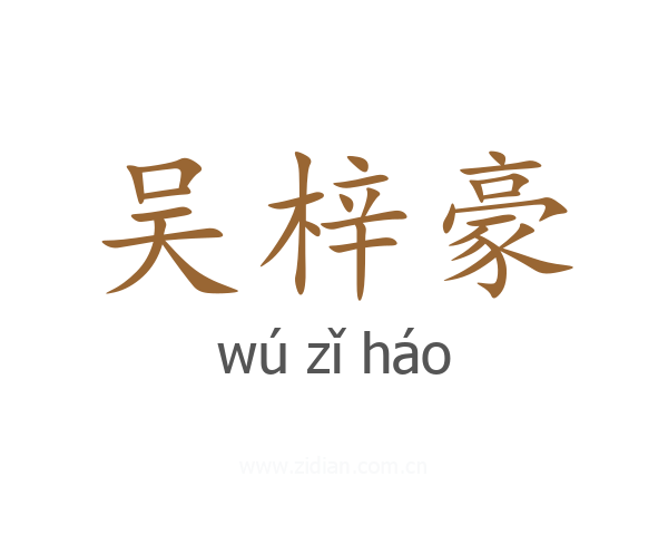 吴梓豪