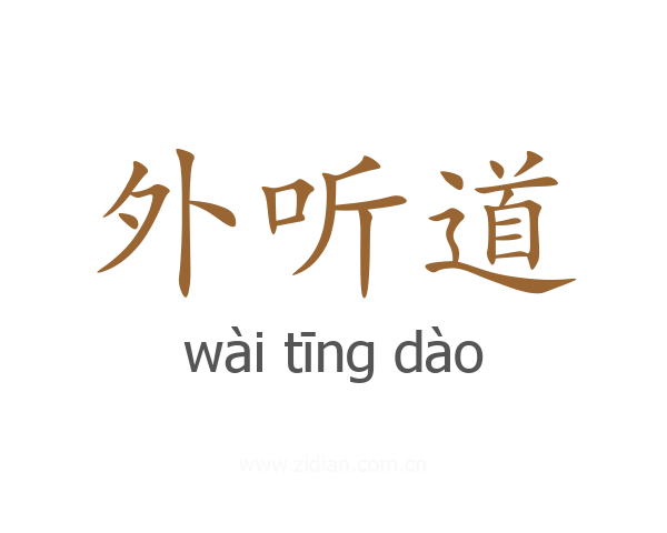 外听道