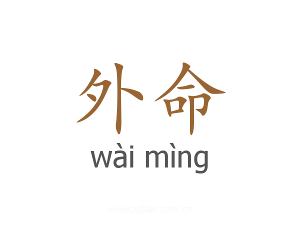外命