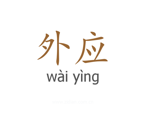 外应
