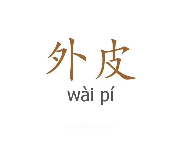 外皮