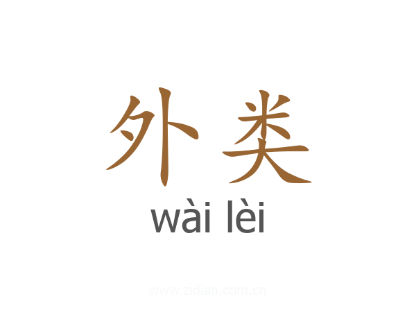 外类