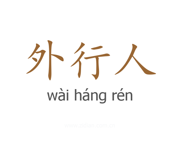 外行人