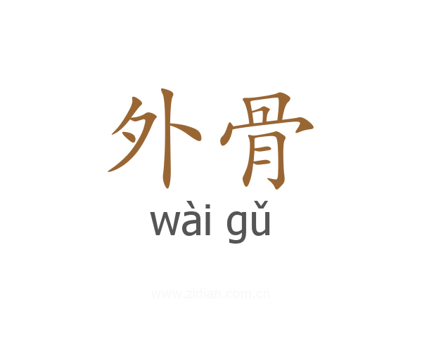 外骨