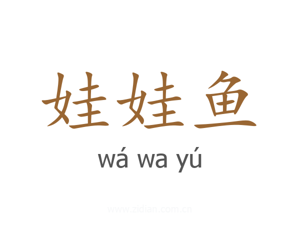 娃娃鱼