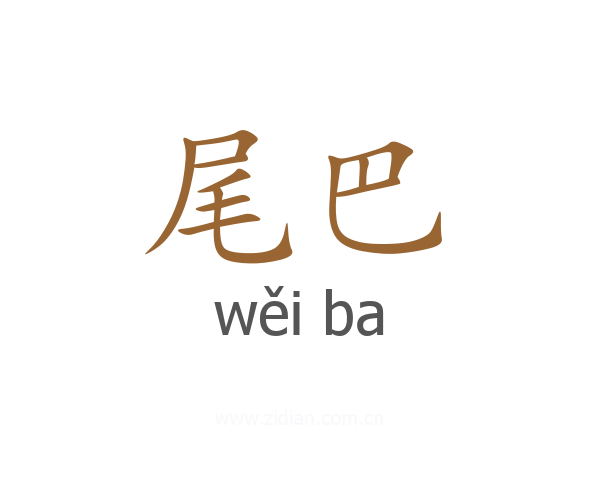 尾巴