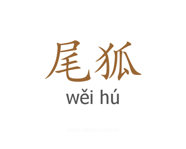 尾狐