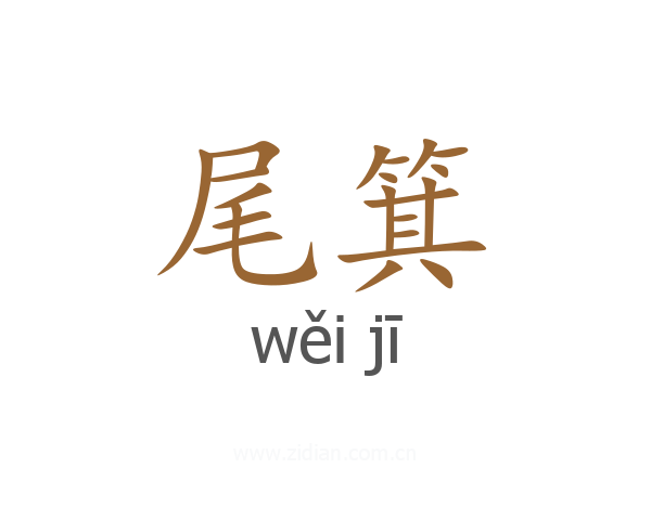 尾箕