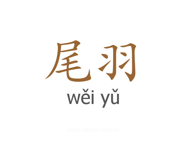 尾羽