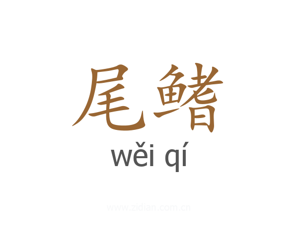 尾鳍